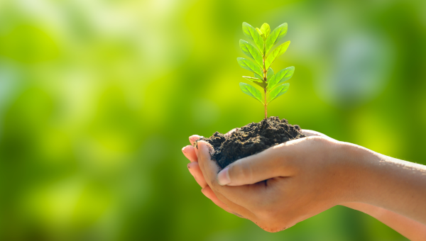 Por que adotar práticas sustentáveis é a melhor estratégia para 2025?